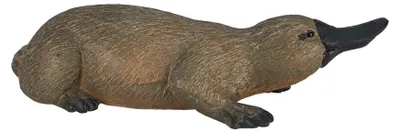Produktbild von Mojo Fun Duck Billed Platypus, 3 Jahr(e), Wildlife, Braun, Schwarz, Polyvinylchlorid (PVC)
