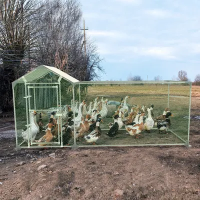 Produktbild von TRMLBE Hühnerstall Hühner Freilaufgehege mit Schloss, Hühnerhaus Verzinkter Stahlrahmen mit PE Sonnenschutzdach Kleintierstall, Hühnergehege für Hühnerkäfig Geflügelstall Vogelkäfig (3m x 1m)