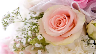 Produktbild von Tulup Glas-Bild -140x70- Wandkunst Dekorative Wand für Küche & Wohnzimmer - Blumen & Pflanzen - Blumenstrauß - Rosa