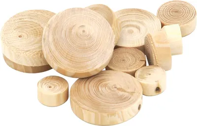 Produktbild von JOWE Astdübel - Fichtenäste, ø 25 mm, Höhe 9 mm, Inhalt 250 Stück