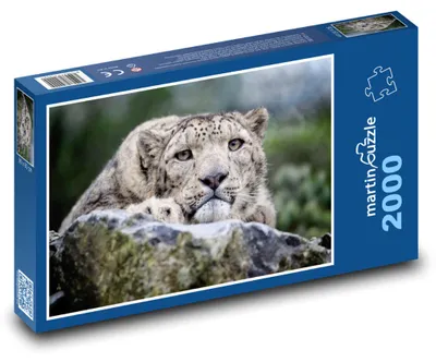 Zdjęcie produktu dla martinpuzzle - Puzzle 2000 - Lewopard
