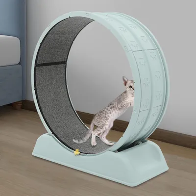 Immagine prodotto di Ruota per gatti - Ruota da corsa e allenamento - Diametro 80 cm - Taglia L - Monostrato - Per interni - Resina e PP - Blu