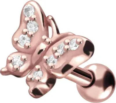 Produktbild von Ohrpiercing Chirurgenstahl Ohrpiercing SCHMETTERLING + KRISTALLE