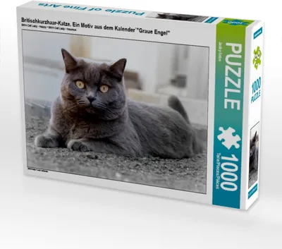 Produktbild von Calvendo Britischkurzhaar-Katze. Ein Motiv aus dem Kalender`"Graue Engel" 1000 Teile Puzzle quer 640x480mm, CALVENDO; 7456078