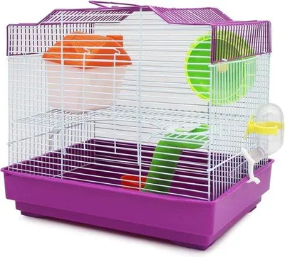 Image de Cage à hamster en bois - abri unique - couleur au choix - dimensions : 33 x 23 x 30 cm