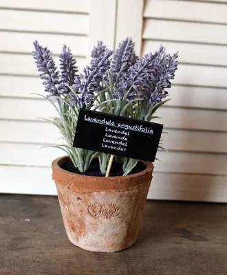 Obrázok produktu pre Umelá rastlina levandule v AT kvetináči