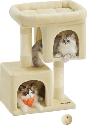 A beige cat tree with two cats on it, set against a white background.