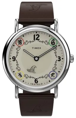 Image de Montre Timex pour homme/femme, marron, Timex-TW2Y76500
