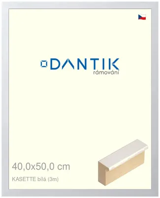 Obrázok produktu pre DANTIK rám 40x50 | KASSETTE biely (sklo číre)