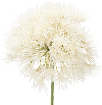 Produktbild von Elegante Kunstblume Allium für stilvolle Dekoration
