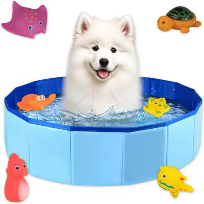 Produktbild von Hundebad 50 × 10 cm, faltbar, wasserdicht, für kleine Hunde und Katzen