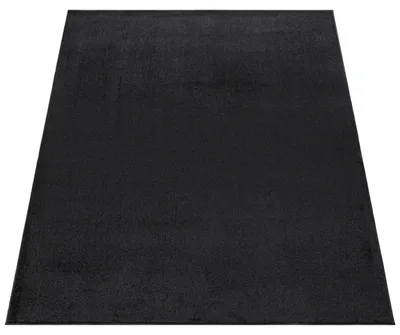 Produktbild von Paco Home Teppich Wohnzimmer Kurflor Schlafzimmer Modernes Einfarbiges Muster 160x220 cm