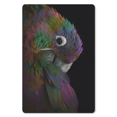 Produktbild von MuchoWow® Mauspad Mousepad Papagei - Vogel - Regenbogen 40x60 cm - Mousepads - Maus Mat - Pad - Mausunterlage - Schreibtisch Accesoire