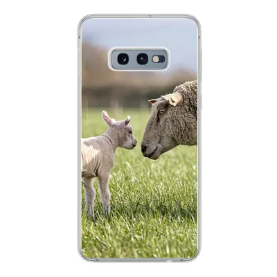Produktbild von MuchoWow® Handyhülle Schutzhülle Hülle für Samsung Galaxy S10e Schafe - Gras - Lamm Silikon Softcase Handy Hülle - Handy