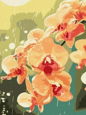 Zdjęcie produktu dla Malowanie po numerach - Orchidea w kroplach 30x40 - Ideyka