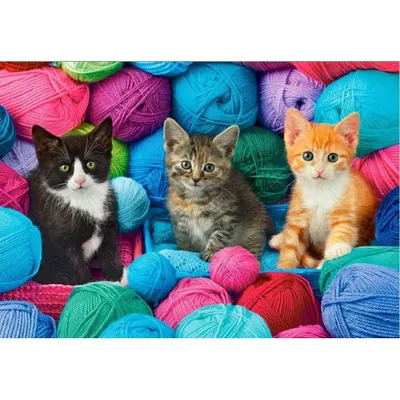Produktbild von Castorland Kittens in Yarn Store, 1000 Stück(e), Tiere, 9 Jahr(e)