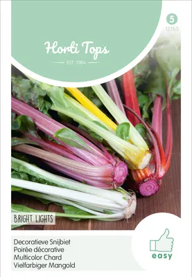 Produktbild von Mangold Bright Lights | Mangoldsamen von Hortitops