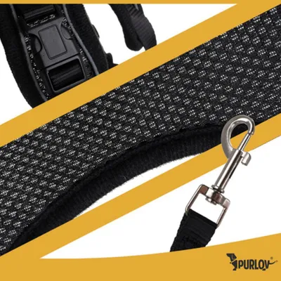 Obrázok produktu pre Postroj pre psov, veľkosť XS, čierny