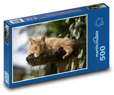 Obrázek produktu pro martinpuzzle - Puzzle 500 - Kočka - roztomilá, mazlíček