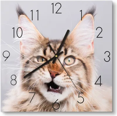 Produktbild von DEQORI Glasuhr 30x30 cm Zahlen 'Maine Coon Katze faucht' Wanduhr Glas Uhr Design leise