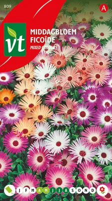 Immagine prodotto di Semi di Ficoide Varie - Circa 1 gr | VT_809