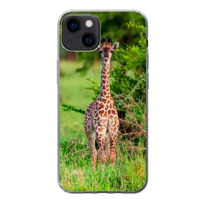 Produktbild von MuchoWow® Handyhülle Schutzhülle Hülle für iPhone 13 Baby - Giraffe - Pflanzen Silikon Softcase Handy Hülle - Karteninhaber