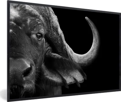 Produktbild von MuchoWow® Gerahmtes Poster Büffel - Tiere - Schwarz - Weiß 90x60 cm - Poster mit Schwarzem Bilderrahmen Wandposter Rahmen Foto Bilder - Fotorahmen - Foto-Plakat