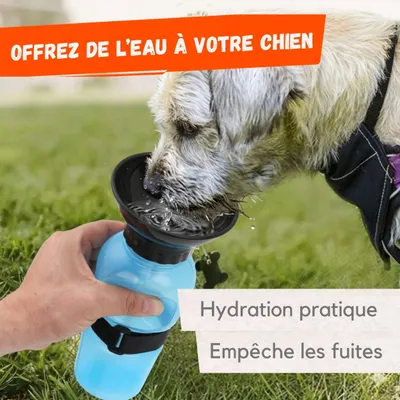 Image de Gourde de Voyage avec Bol Intégré – 500 ml