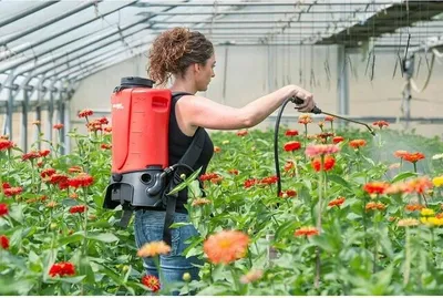 A woman is spraying flowers in a greenhouse with a backpack sprayer.