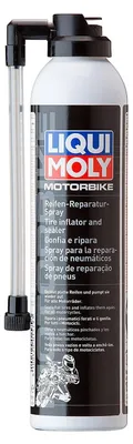 Imagen del producto de Spray reparador para motores - 300 ml - Incoloro