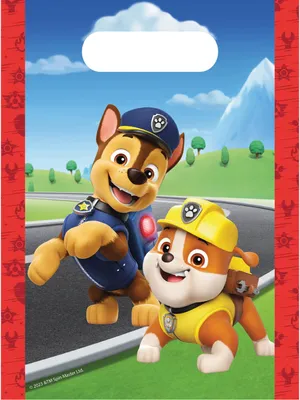 Zdjęcie produktu dla Paw Patrol 4 sztuki papier
