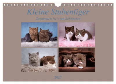 Produktbild von Kleine Stubenstiger (Wandkalender 2027 DIN A4 quer), CALVENDO Monatskalender