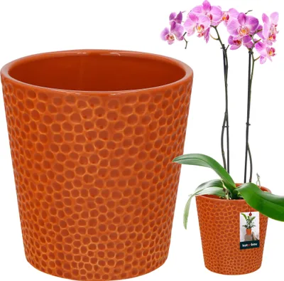 Zdjęcie produktu dla KOTARBAU® Doniczka ceramiczna szkliwiona w kolorze ciemnej musztardy ? 9,5 cm Wysokosc: 11 cm Doniczka do storczyka ceramiczna doniczka ceramiczna doniczka ceramiczna doniczka do roslin doniczka nowoczesna doniczka do roslin domowych
