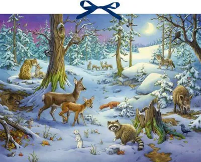 Produktbild von Sound-Adventskalender - Hört ihr die Tiere im Winterwald?