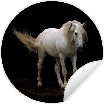 Produktbild von MuchoWow® - Wandbild - Fototapete - Selbstklebend - Dekoration - Wandschmuck - Schlafzimmer