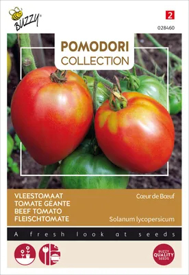 Produktbild von Fleischtomate Coeur de Boeuf | Fleischtomatensamen von Buzzy Seeds