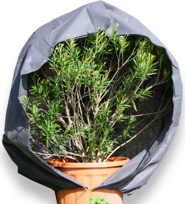 Produktbild von 240 x 300 cm Premium XXL Winterschutz für Pflanzen grau Kübelpflanzen Winterschutzcover draußen Haube Reißverschluss Zugband Pflanzenschutzhaube