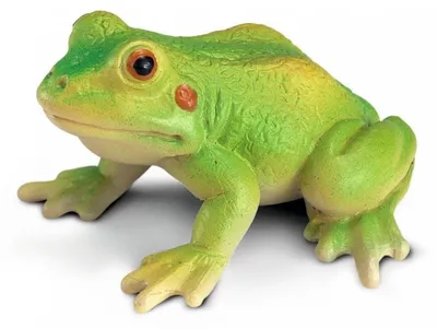 Image de Grenouille - Schleich 14407