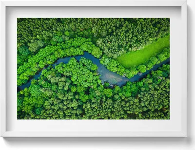 Produktbild von Wald und Fluss aus der Vogelperspektive– Wandbild mit Rahmen – Gerahmtes Bild  – Wanddekoration – 70x50 cm –  Schwarz Rahmen