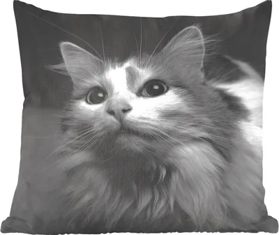 Produktbild von MuchoWow® Zierkissen Sofakissen Wohnzimmer Dekokissen 60x60 cm Tierprofil Katze in schwarz und weiß - Sitzfläche - Foto Polster