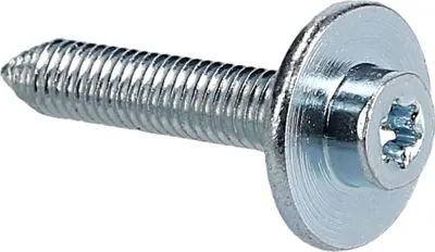 Image de Bosch Siemens 170215 00170215 Vis à tête Torx Vis de fixation Vis de réglage Torx Rail de fixation de porte supérieur Réfrigérateur Congélateur Également Neff Constructa