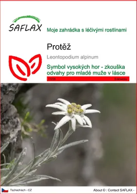 Obrázek produktu pro SAFLAX - Protěž - Leontopodium alpinum - 500 Semena