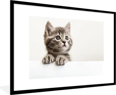 Produktbild von MuchoWow® Gerahmtes Poster Katze - Grau - Tiere 90x60 cm - Poster mit Schwarzem Bilderrahmen Wandposter Rahmen Foto Bilder - Wanddekoration - Fotos
