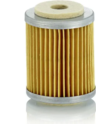 Image de NFZ-MANN Filtre à carburant pour P609