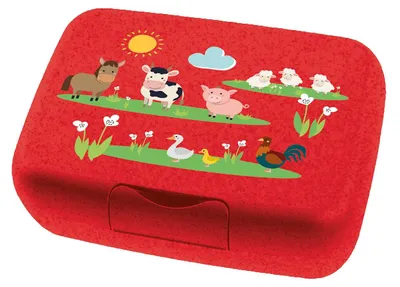 Lunchbox mit Fruchtclip, BPA-frei, spülmaschinengeeignet, 13,5x19x6,5 cm