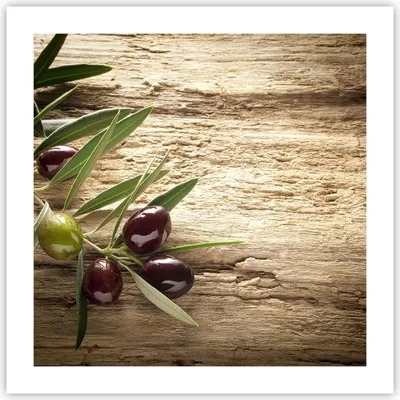 Produktbild von Poster - Poster ohne Rahmen - Oliv italien aroma diät - 50x50 cm - Wand Bild - Wanddeko - Wandbilder - Kunstposter - Wandposter - Bilder - Kunstdruck - Wanddekoration - Wandbild - P2XAC50x50-2420