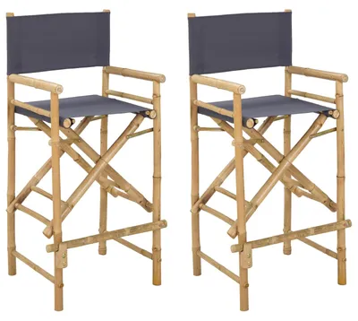 Imagen del producto de vidaXL: 2 sillas plegables para directores, bambú natural