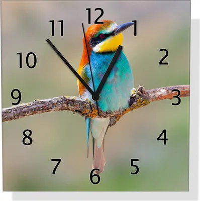 Produktbild von Wallario Design Wanduhr Vogel auf Ast aus Echtglas, Größe 30 x 30 cm