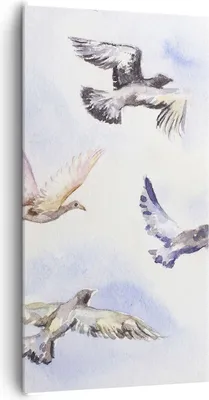 Produktbild von Bild auf Leinwand - Leinwandbild - Vögel Aquarell Wildheit Fliegen - 65x120cm - Wand Bild - Wanddeko - Leinwanddruck - Bilder - Kunstdruck - Leinwand bilder - Wandkunst - PA65x120-3066