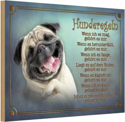 Produktbild von vianmo Holzschild 12x18 cm Hunderegeln wenn ich es mag Tier Haustier